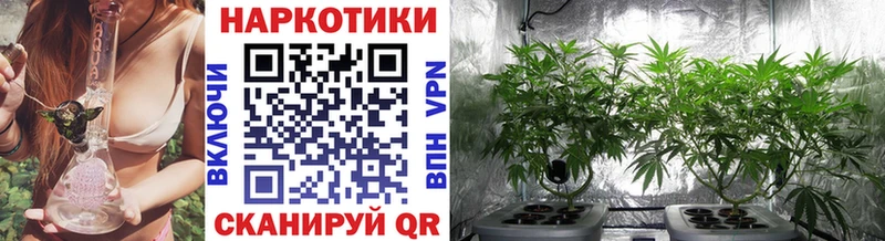 Наркотические вещества Вышний Волочёк ГАШИШ MEGA ссылка Меф мяу мяу Конопля APVP